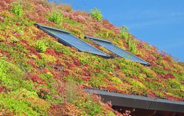 Sighthill living roof systems